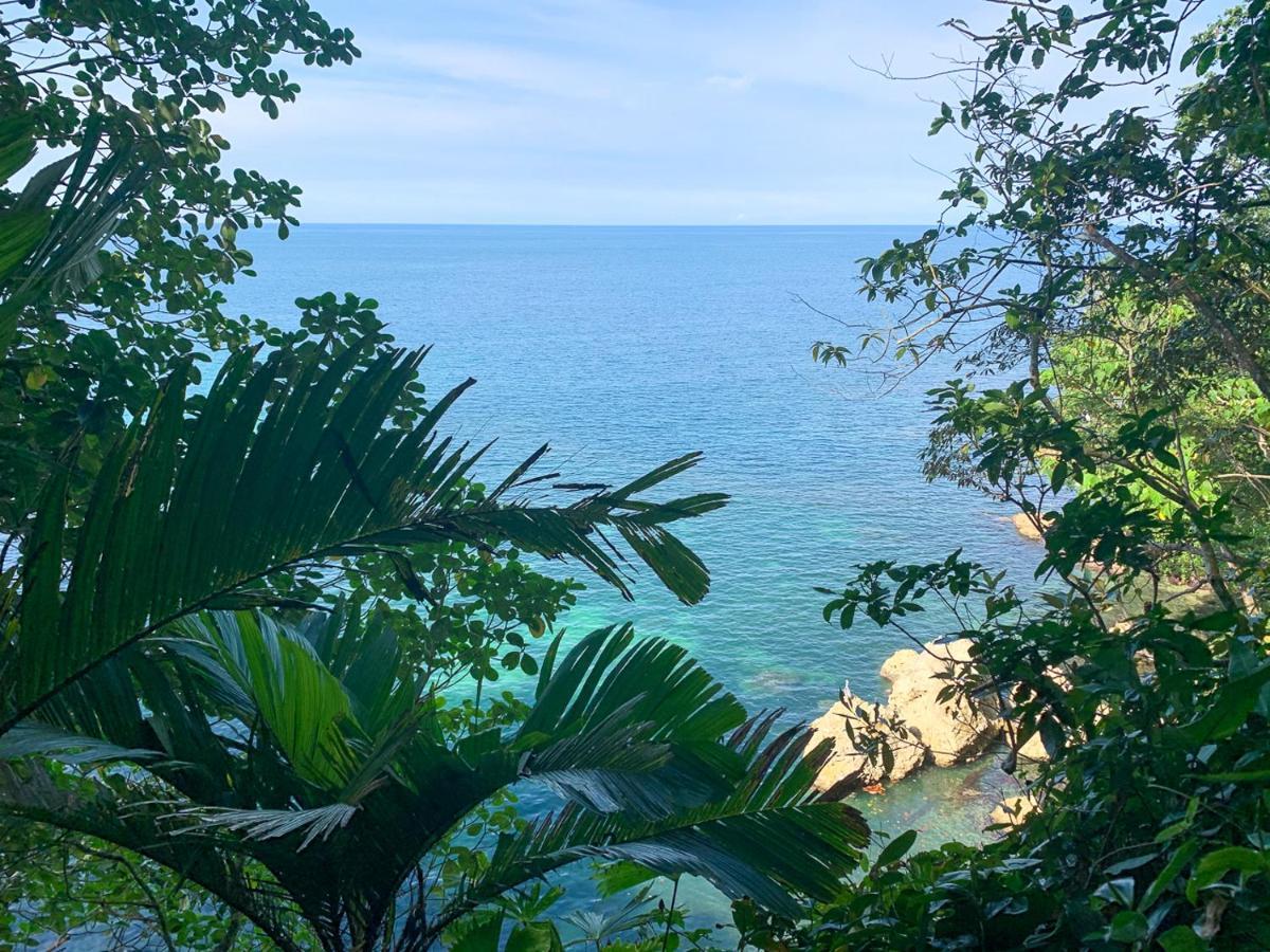 Blue Maverick Retreat - Secluded Nature Escape - 4Wd Access Required Cocles Eksteriør billede